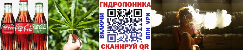 как найти наркотики  Сольвычегодск  blacksprut tor  Печенье с ТГК марихуана 
