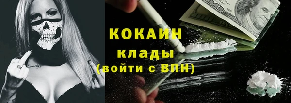 гашик Арсеньев