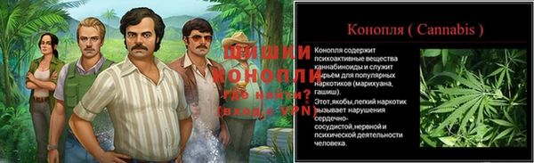 гашик Арсеньев