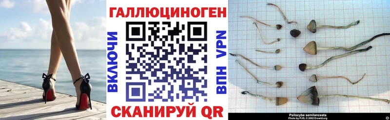 MEGA ТОР  Сольвычегодск  Псилоцибиновые грибы Cubensis 